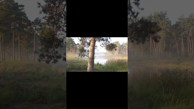 СЛЕППОЙ - Девочка Осень