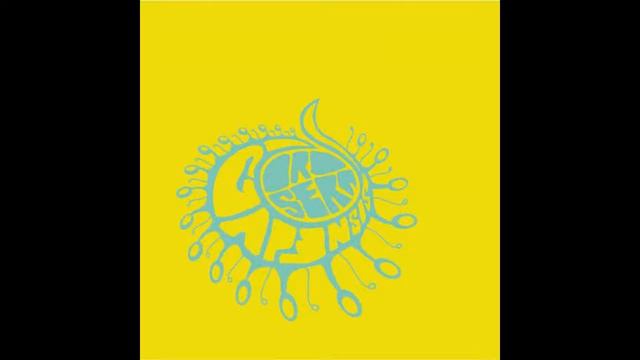 Drosera Capensis - Mescalito live