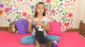 МНЕ ЗВОНИТ МОМО  жуть как страшно!/Элис мэйд