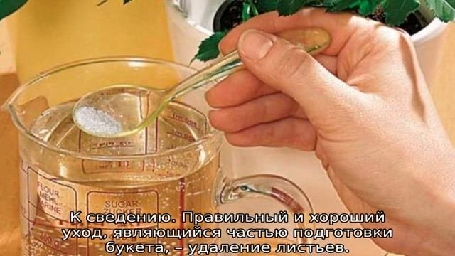 Пионы в вазе