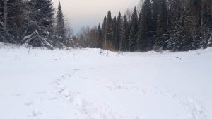 Февральский хариус. Бросил буран в тайге!