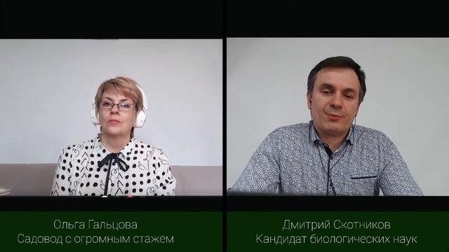 Вся правда о Фитоспорине смотреть онлайн