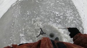 Зимняя ловля судака на зимнюю блесну ручной работы. Озеро Ильмень.