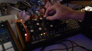 Moog Mother 32 Arpeggiator