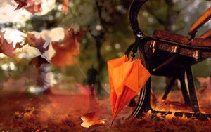 Ольга Берггольц: "ЛИСТОПАД". Читает — Елена Артёменко. Запись: октябрь, 2023 года.