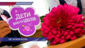 Акция «Дети вместо цветов» проходит в Нижегородской области