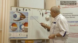 Прохождение жидкости через дренажную систему глаза