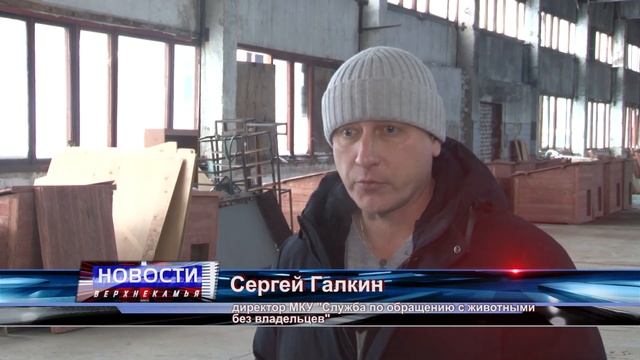 Муниципальный приют