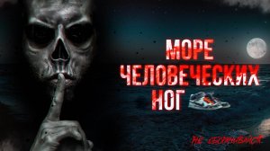 Страшные находки в море Селиш | Не оборачивайся