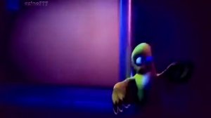 Трио в перьях