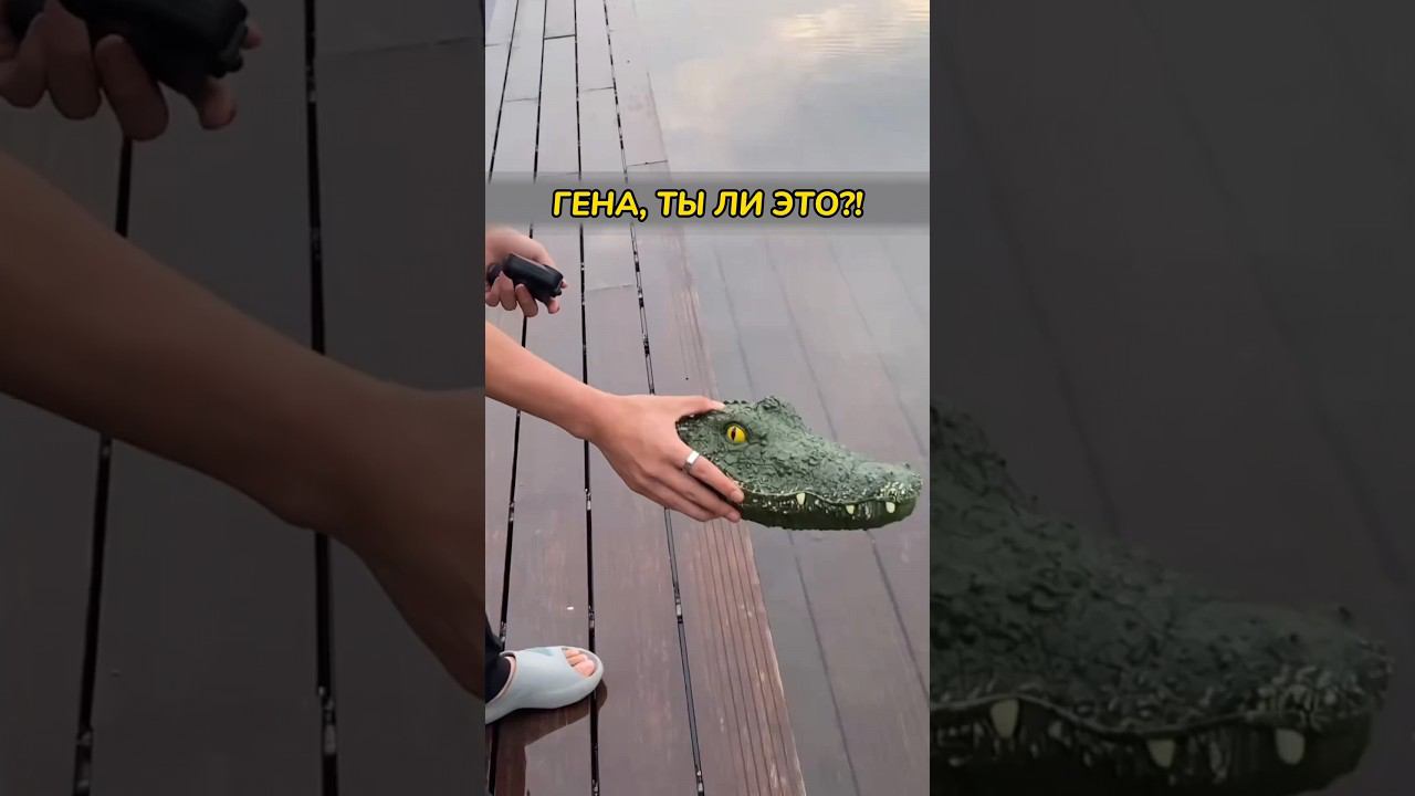 Новинка из Китая, которая удивит многих. #товарыизкитая #карго #находкидлядома смотреть онлайн