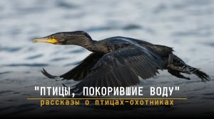 Рассказы о птицах-охотниках - "Птицы, покорившие воду" (первая серия)