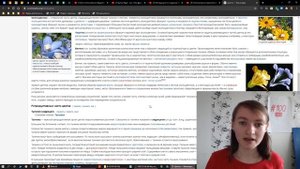 Значение слова гипертекст. Что такое гипертекст.