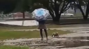 Кто так издевается над младенцем...