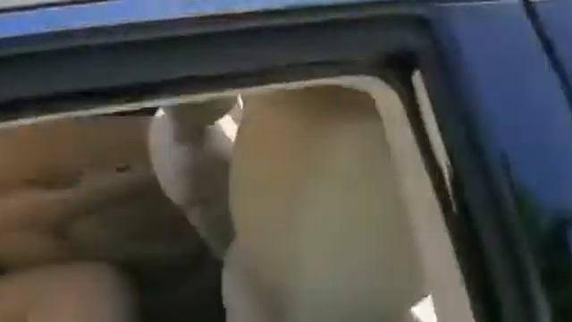 2004 Lexus ES330 / 360 Video смотреть онлайн