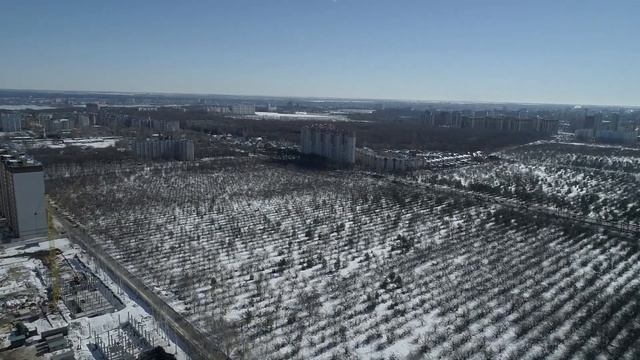 План застройки яблоневого сада Воронеж