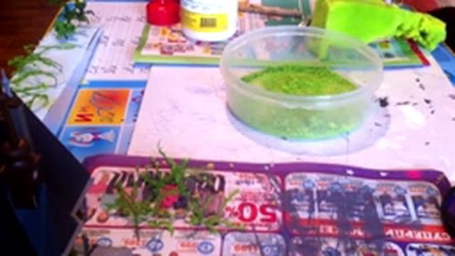 Делаем растения для макета#ВЬЮЩИЕСЯ РАСТЕНИЯ