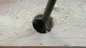 оснастка: через сучки и гвозди - перьевое сверло DeWalt Extreme DT4791-QZ