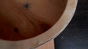 Колесо для хомяка.  Как сделать колесо для хомяка своими руками