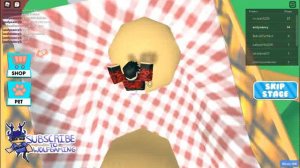 Chez burger!!!! ROBLOX escape the picnic obby.