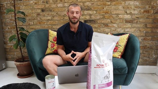 Royal Canin Kidney/Renal Dog Food Review (Dry&Wet) - The Dog Nutritionist смотреть онлайн