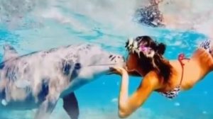 Дельфины. Олег Анофриев и Валентина Толкунова.