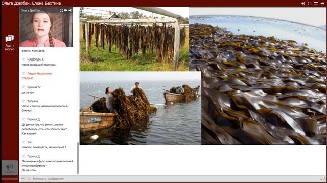 Фитокосметика - зимний крем, масло ламинарии, гидролаты - своими руками