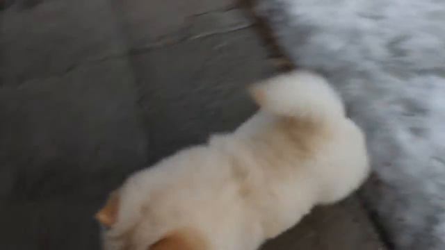 Фэнтези Стайл Ванесса смотреть онлайн