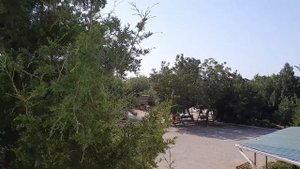 Хорлы 2021. Херсонская область.Пансионат "Южный".