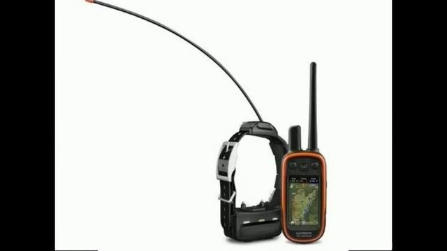 Gps ошейник для охотничьих собак