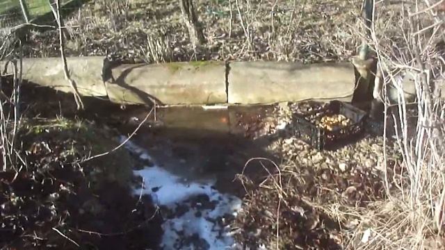 Выращивание топинамбура #683 смотреть онлайн