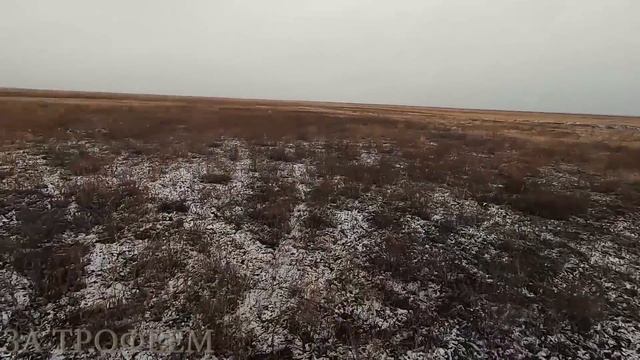 ОХОТА НА ЗАЙЦА ПЕРВЫЙ СНЕГ ОН ТРУДНЫЙ САМЫЙ смотреть онлайн