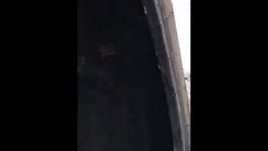 Шины 16.9-24 Cultor и Seha в работе