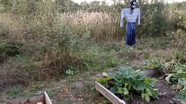 Урожай под угрозой заморозков