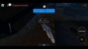 вызвала кота ошибку в котах воителях роблокс!