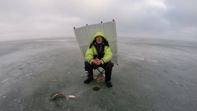 Облов лунок. Старые или новые столы! Часть первая. Юрий Философ. 2016 год. смотреть онлайн