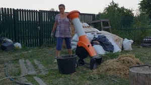 делаю мульчу из соломы и сорняков с помощью помощника -  Stihl GHE250.