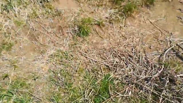 Рыбалка на вьюна на реке | Ловлю рыбу руками смотреть онлайн