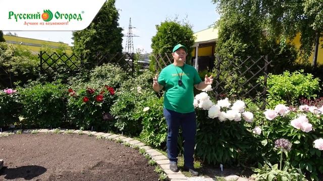 #КОРОЛЬ ИЮНЯ ПИОН - фестиваль цветов в Русском Огороде. смотреть онлайн