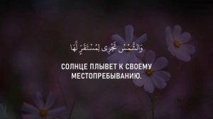 Чтец:🎙️ Мухаммад Тарик 🌿🌿🌿📖Сура 36 «Йа Син» -