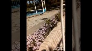 ?VLOG?Артек?04/10/17