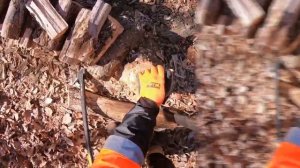 Fiskars XA22 HOOKAROON FIREWOODING DEMONSTRATION