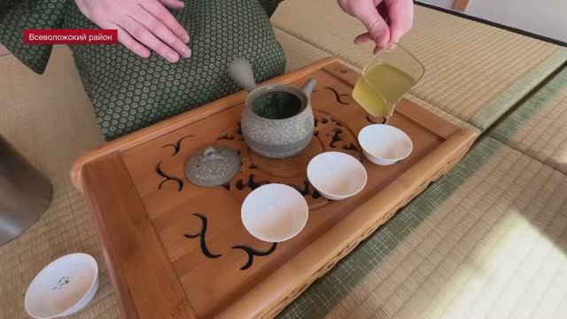 В японском саду в Ленобласти рассказали об особенностях чайной церемонии