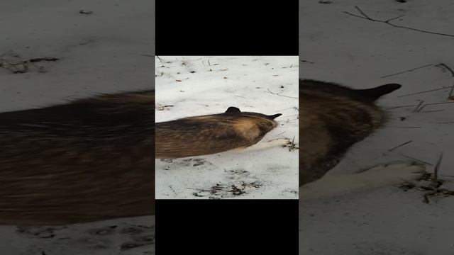 Вот это скорость