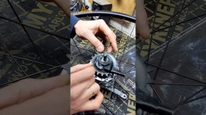 подключение колёса с планетарной втулкой    SHIMANO NEXUS 7  к шиферу приключения