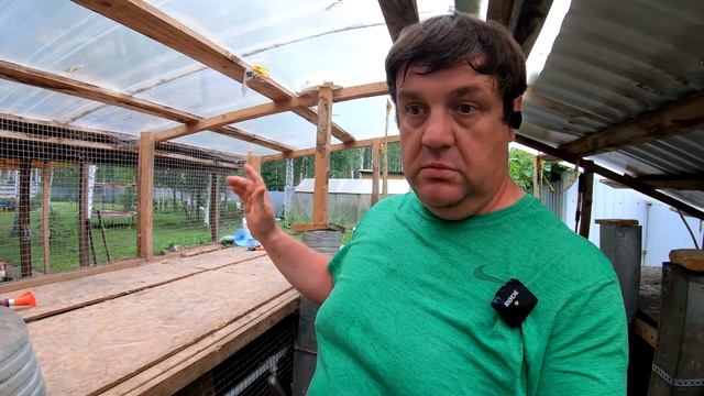 Кролики летом [экономия на кормах] смотреть онлайн