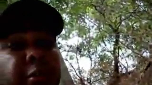 Что будет, если аллигатор укусит электрического угря? смотреть онлайн