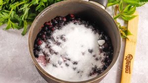 Джем из черной смородины Пятиминутка