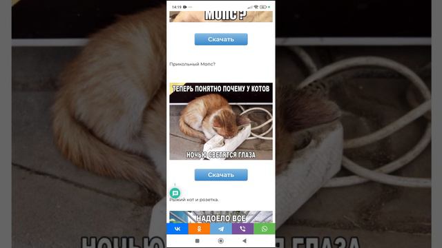 сборник смешных мемов