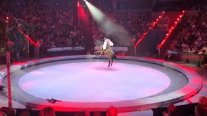 Цирк - лошадь с наездники прыгает через скакалку